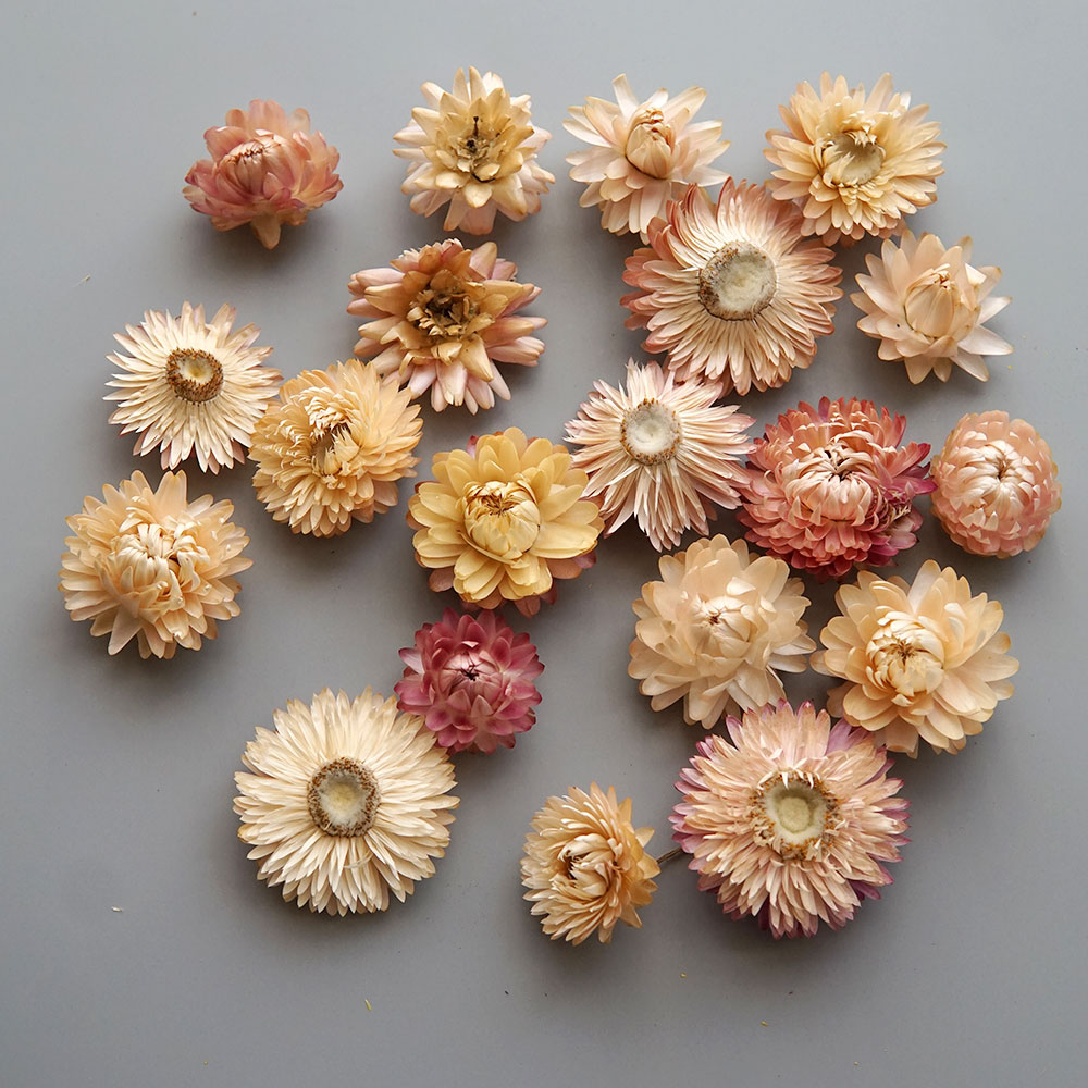 Couronne de chrysanthème color - Hair Care Nature avis et prix